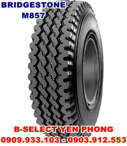 Lốp Xe Tải Bridgestone 12R225 16PR M857